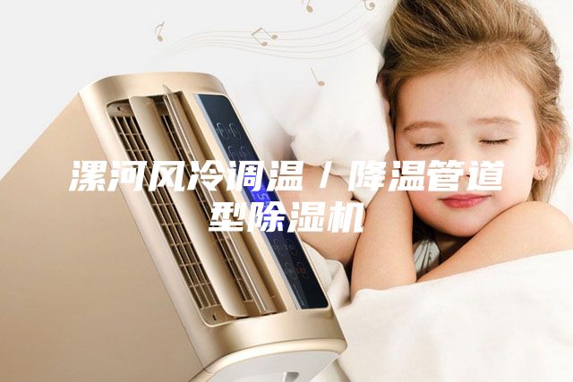漯河風冷調溫／降溫管道型除濕機