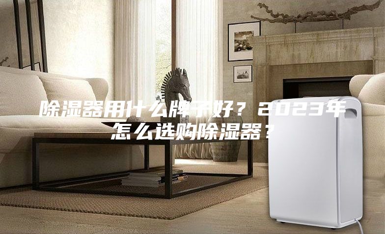 除濕器用什么牌子好？2023年怎么選購除濕器？