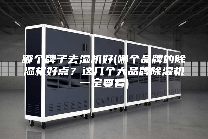 哪個牌子去濕機好(哪個品牌的除濕機好點？這幾個大品牌除濕機一定要看)