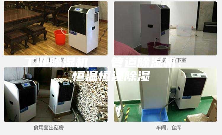 工業(yè)除濕機(jī)、 管道除濕機(jī)、 恒溫恒濕除濕