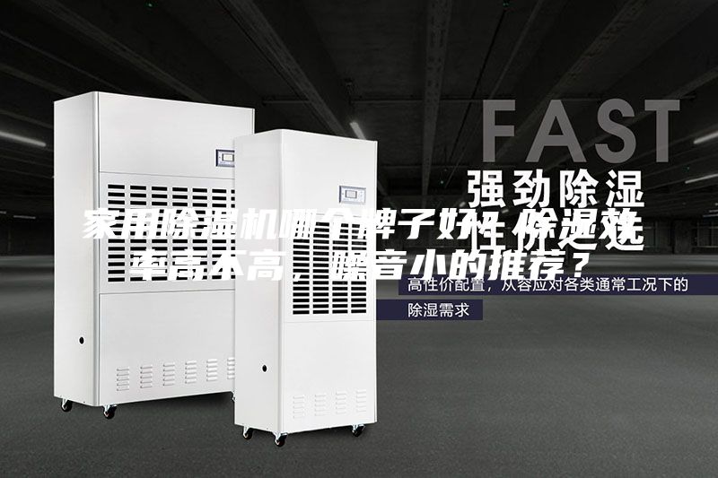 家用除濕機哪個牌子好？除濕效率高不高，噪音小的推薦？