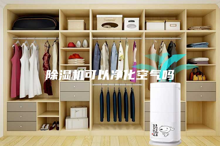 除濕機可以凈化空氣嗎