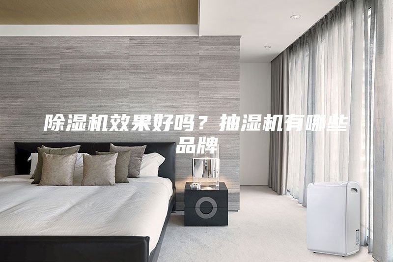 除濕機效果好嗎？抽濕機有哪些品牌