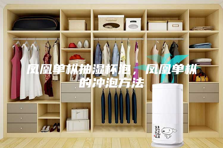 鳳凰單樅抽濕杯泡，鳳凰單樅的沖泡方法