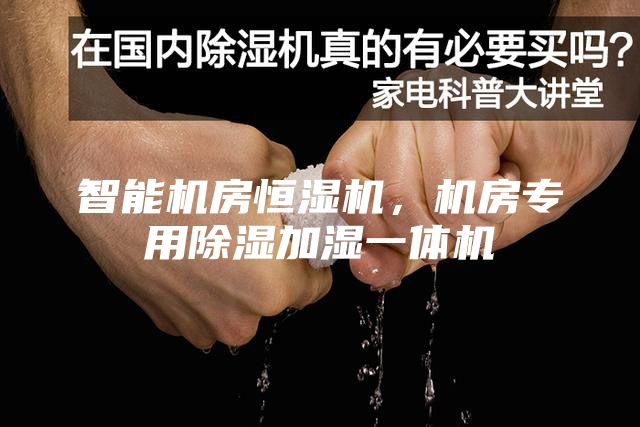 智能機房恒濕機，機房專用除濕加濕一體機