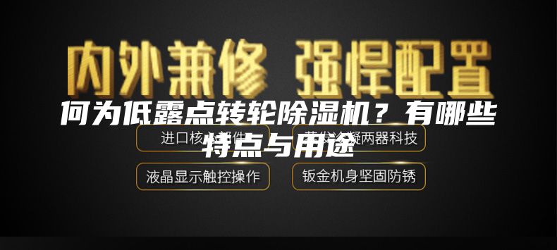 何為低露點轉(zhuǎn)輪除濕機？有哪些特點與用途