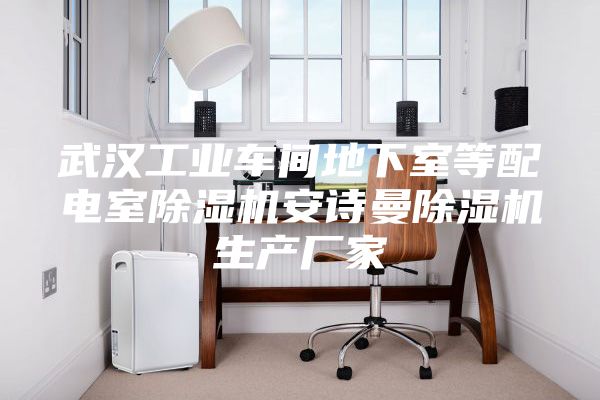 武漢工業車間地下室等配電室除濕機安詩曼除濕機生產廠家