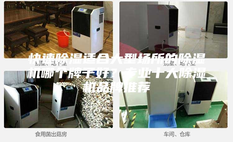 快速除濕適合大型場所的除濕機哪個牌子好？專業(yè)十大除濕機品牌推薦