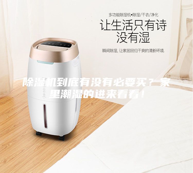 除濕機到底有沒有必要買？家里潮濕的進來看看！