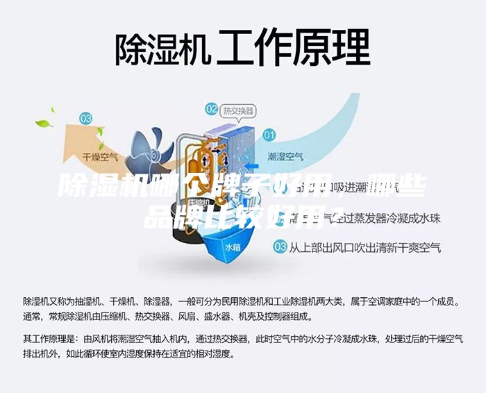除濕機(jī)哪個(gè)牌子好用，哪些品牌比較好用？