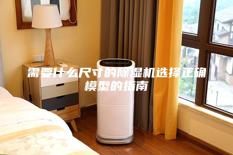 需要什么尺寸的除濕機選擇正確模型的指南