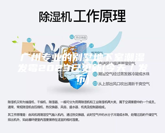 廣州專業(yè)的別墅地下室潮濕發(fā)霉2023已更新(今天/發(fā)布)