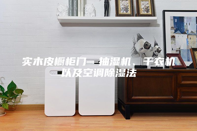 實木皮櫥柜門—抽濕機、干衣機以及空調(diào)除濕法