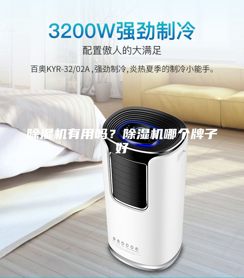 除濕機有用嗎？除濕機哪個牌子好
