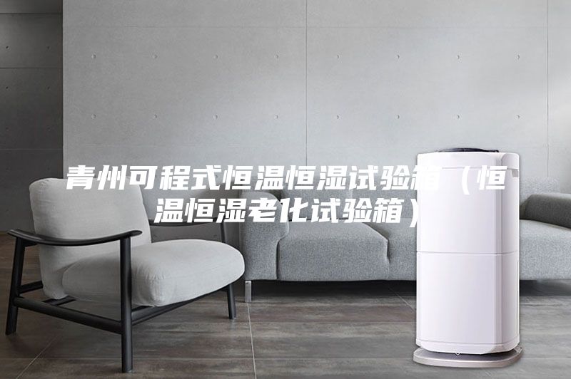 青州可程式恒溫恒濕試驗(yàn)箱（恒溫恒濕老化試驗(yàn)箱）