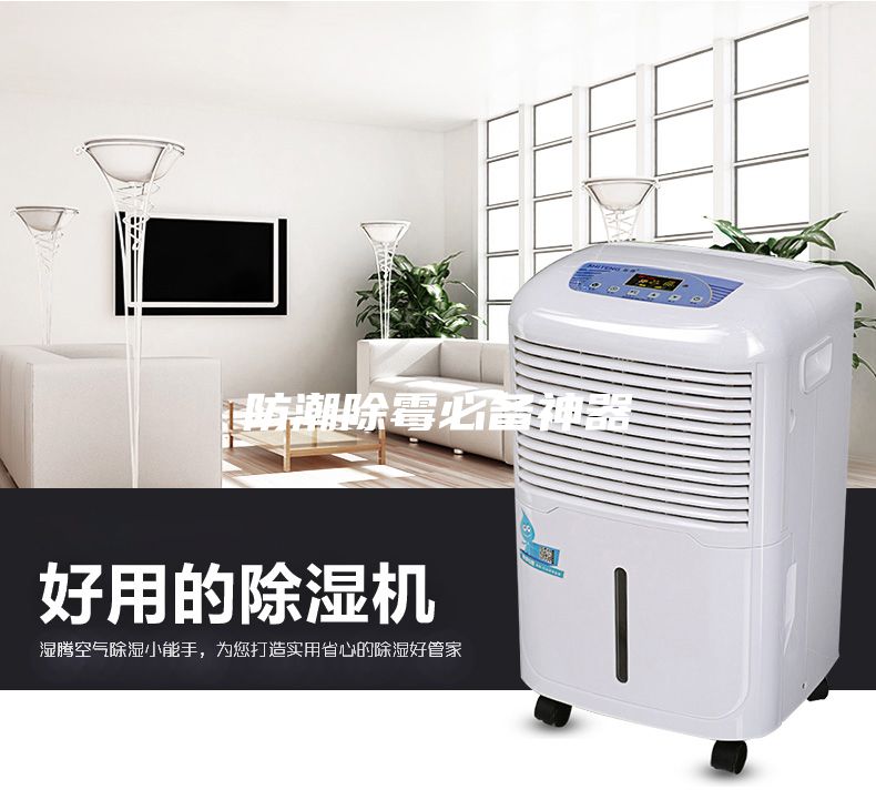 防潮除霉必備神器