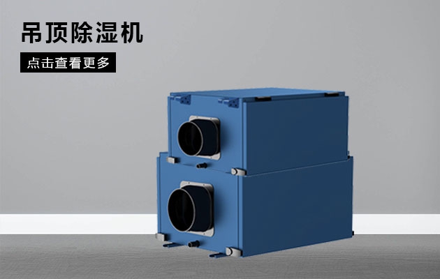臺風過后室內防潮工作不能少