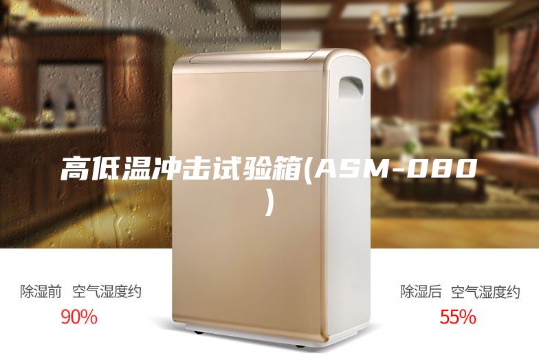 高低溫沖擊試驗(yàn)箱(ASM-080)