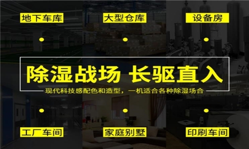 為室內綠化園添置除濕機需要考慮哪些因素？
