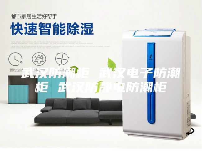 武漢防潮柜 武漢電子防潮柜 武漢防靜電防潮柜