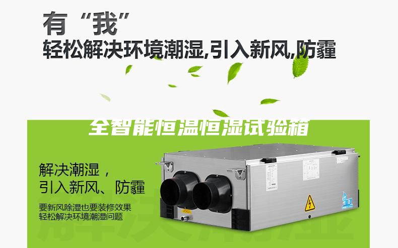 全智能恒溫恒濕試驗箱